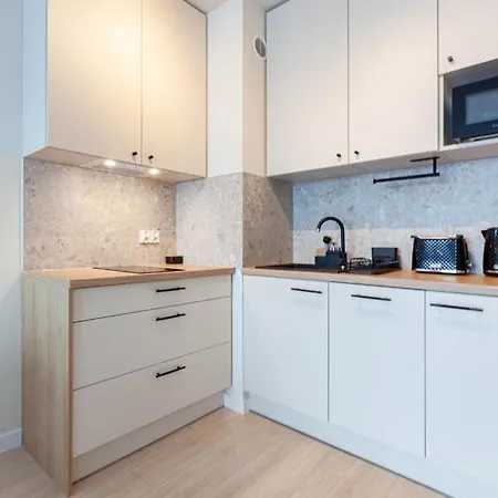 Apartly- Riverview With Balcony & Parking * שצ'צ'ין